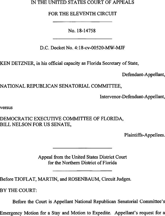 Image 1 within Democratic Executive Committee of Florida v. Lee